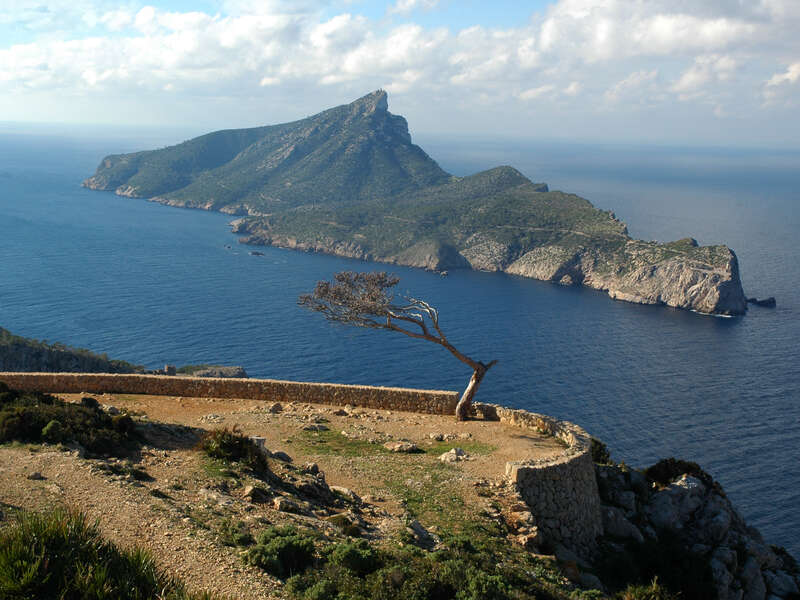 FORMENTOR, Alcudia o Sineu